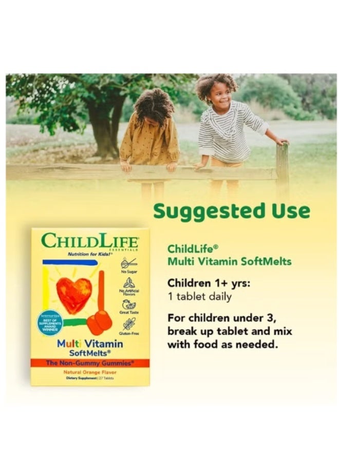 CHILDLIFE ESSENTIALS Multi Vitamin SoftChews - for Infants, Babies, Kids, Toddlers, Children, and Teenagers - Natural Orange Flavor - 27 Tablets - Image 3